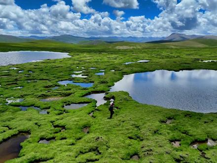 带你去看长江源头!玉树州三江源宣传片。长江南源当曲(正源),发源于青海省玉树藏族自治州杂多县结多乡,青藏高原唐古拉山脉东段北支无名台地东北处,海拔高5042米,距入海口6236.45千米。
国际惯例,离河口最远的源头就是整个水系的河源。2008年,青海省测绘局组织三江源科考,测得长江南源当曲与西源沱沱河交汇处分别长360.3公里和348.6公里,同时,当曲的流域面积是沱沱河的两倍,河口流量是沱沱河的4倍,按照“唯远”原则当曲源头是长江正源。
长江南源的当曲湿地总面积达6400平方公里,湿地上限达到海拔5350米,是迄今所知世界上海拔最高面积最大的中、低纬度高原湿地。湿地形成于多年冻土广泛分布的典型冰缘环境。
拍摄:阿克班玛。视频制作:桑珠#长江正源当曲