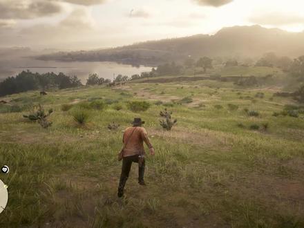 寻找荒野大镖客30个龙骨的位置 #恐龙骨 #信仰的考验 #黛博拉 #石英块 #颚骨刀 #荒野大镖客游戏攻略