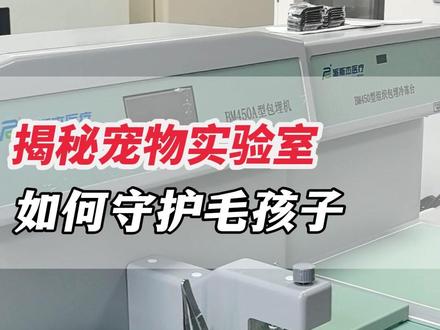 揭秘如何用先进的科研技术默默守护毛孩子 #宠物实验室 #宠物医疗 #仪器仪表 #实验室设备 #中实仪