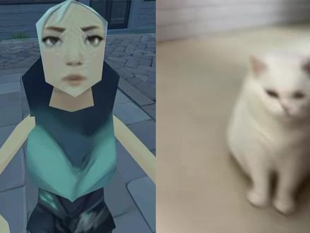瓦瓦特别喜欢闻小猫咪 瓦瓦的小猫咪#生活服务热点中心 #瓦瓦 #小气鬼 #瓦瓦的小猫咪 @奇瑞QQ #奇瑞qq3五一快乐生活秀
