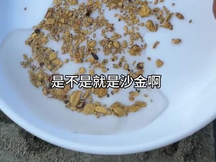 河里面到底藏着多少黄金?#黄金