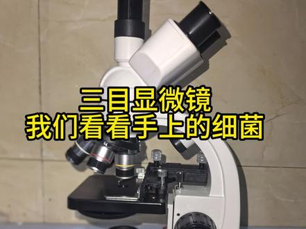 #显微镜 #手上的细菌 用显微镜观察细菌的步骤 一、用脏手上的细菌制装片: 1、收集手上细菌,用少量无菌水(可用冷开水代替)冲洗脏手,让洗手的水流到培养皿中。这些脏水就是细菌培养液。 2、制取细菌装片,取甲、乙两块洁净的载玻片,分别在两玻片的中央各滴一小滴细菌培养液;然后在甲片上盖好盖玻片后直接用600倍的显微镜观察。或者直接将指甲里的脏东西挑出来至载玻片 滴上无菌水。 (用稍偏暗的视野,调节到位可以看到多种细菌和其它微生物。很容易看到活动的微生物,这样对儿童更有吸引力和教育意义。)如果你想进一步放大并会操作,选定观察的物象后,可把此物象移到视野正中央,再转换更高倍数的镜头观察即可。