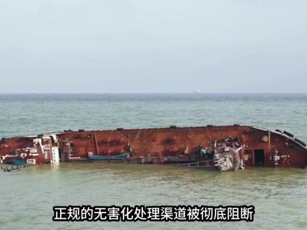 为什么蛤蜊中会有玻璃纤维? #科普 #抖音精选