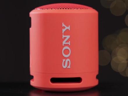 买到高仿了?差价200!2只索尼XB13小音箱对比#索尼 #索尼xb13 #蓝牙音箱 #对比测评 #数码科技 @DOU+小助手