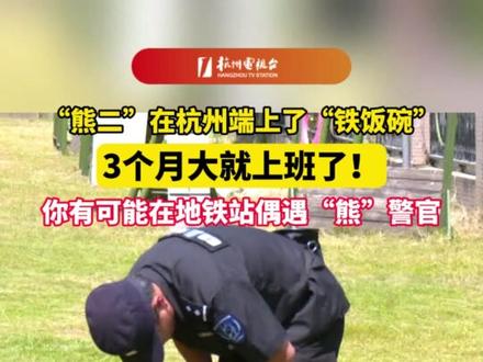 “熊二”在#杭州端上了“#铁饭碗”,3个月大就上班了!你有可能在#地铁 站偶遇“熊”警官