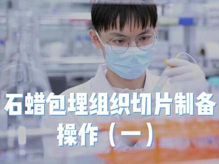 #实验 石蜡包埋组织切片制备操作过程,过夜中,期待下一步结果 #科研