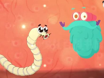 今天来了解绦虫的故事,让孩子和家长明白绦虫感染人体的科学原理,从而养成好的生活习惯#科学科普 #百科知识 #暑期知识大作战 #少儿科普