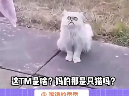 遇事喊“妈”是全球通用的吗#娱乐评论大赏 #搞笑