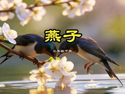 燕子,三年级下必背课文篇目#燕子 #三年级下册语文 #小学必考考点 #创作者中心 #创作灵感