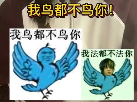 笑死我了闺蜜们#吉他张 #内容太过真实 #我一直在哭 #我鸟都不鸟你 #二次元