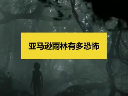 亚马逊雨林不是一般人能去的,珍爱生命敬畏自然#涨知识 #探索 #地球#人与自然
