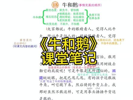 四年级上册《牛和鹅》课堂笔记#小学语文