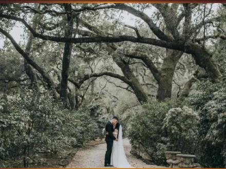 恭喜!林书豪在社交媒体发文宣布自己2年前已与女友结婚:婚礼是我人生有史以来最高光的时刻 #林书豪 #cba#nba