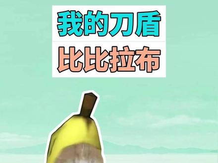 我的刀盾是什么梗?比比拉布是什么梗? #我的刀盾 #比比拉布 #猫meme #梗 #抽象