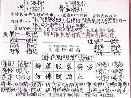 #三年级 第3课《荷花》#课堂笔记