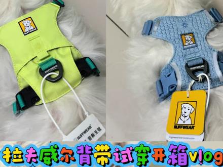 #拉夫威尔 #vlog #小狗新年礼物
妈妈想要! 小狗得到!