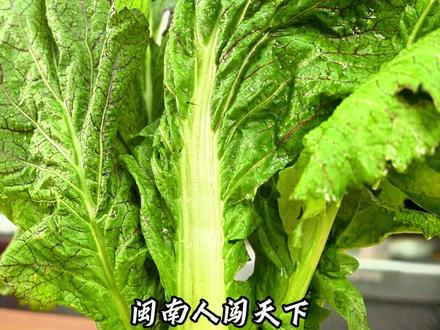 从小吃到大!古早味闽南芥菜饭,一口回到阿嫲家 #芥菜饭#炒饭#闽南美食#闽南特色小吃#家常菜