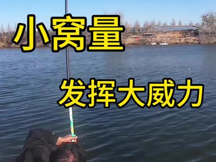#钓鱼人#钓鱼技巧#中逵太白#钓鱼人就是这么疯狂 #钓鱼