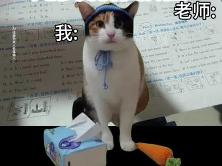 #萝卜纸巾猫咪 萝卜纸巾猫咪特效 萝卜纸巾猫咪二创 萝卜纸巾猫咪绿幕 萝卜纸巾猫咪表情包 萝卜纸巾猫咪怎么剪辑 #萝卜纸巾猫咪逐渐抽象 萝卜纸巾猫咪火到国外 猫咪认纸巾和萝卜真人版 萝卜纸巾猫咪什么梗 猫的智商有多低 纸巾真棒 边牧萝卜纸巾 大笨猫又在蒙答案了 大笨猫 真棒小猫 萝卜纸巾 #萌宠认物挑战 萝卜纸巾猫咪原视频 萝卜纸巾老虎 萝卜纸巾相机 萝卜纸巾猫咪豆包 猫咪认纸巾和萝卜 萝卜纸巾模仿 米老鼠 聪明猫 蒙题系列 训练猫咪 #蒸蚌 萝卜纸巾猫出圈 萝卜纸巾猫咪视频 萝卜纸巾鸭子 外国人看纸巾萝卜小猫 边牧萝卜纸巾 萝卜纸巾金毛 外国人看萝卜纸巾猫咪视频 萝卜纸巾 可爱萝卜纸巾 纸巾猫咪 三花猫萝卜纸巾 萝卜纸巾猫咪模仿挑战 大笨猫靠蒙答案走红 小猫萝卜纸巾 萝卜纸巾兔子 给猫道歉 给猫道歉了 大笨猫又在蒙答案了摸地板 大笨猫又在蒙答案了真人 大笨猫又在蒙答案了摸地板文件夹 大笨猫又在蒙答案了模仿 大笨猫米老鼠 超级无敌大开门 小猫分辨萝卜纸巾 察言观色猫 卫龙纸巾猫咪 萝卜纸巾小狗 萝卜纸巾狗 #剪映