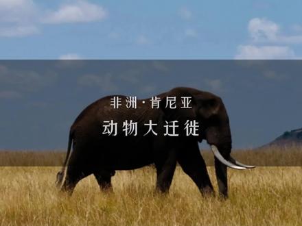 世界这本书,我又多读了一页。