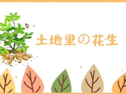 #美术课件——土地里的花生,适合幼儿园小朋友#粘土 #创意美术 #手工创意画 #美术课件ppt #创意画课件