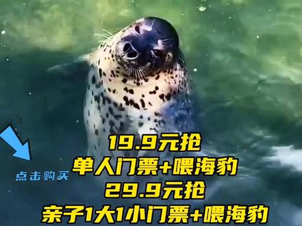 #亲子游玩好去处 #周末去哪玩 #夏日玩乐大作战溜娃好去处,烟台东炮台海豹湾抖音也出团购了、单人门票19.9元亲子1大1小门票、29.9元、两大1小45.8元、可以近距离看海豹,喂海豹、视频左下方绿色定位团起来,记得点赞关注哦#遛娃好去处 #豹享乐购@豹享 @DOU+小助手