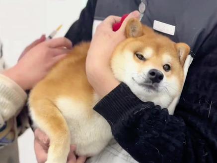 为什么小时候吃配好的药,好的那么快