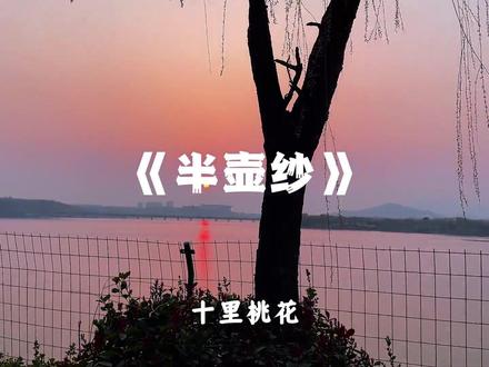 “十里桃花待嫁的年华”#半壶纱 #翻唱 #emo #音乐分享 #十里桃花待嫁的年华