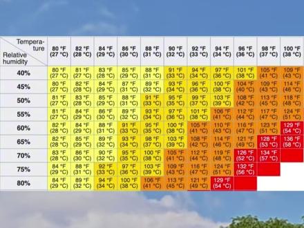 南方中暑紧急提醒,体感温度最高可达48度 广东广西湖南江西福建海南的朋友注意了,你们中暑的风险极高,5月25日,广东广西福建出现了极品的桑拿天,其中茂名和德庆体感温度达48度这个比较危险的温度了,连相对凉快的广州体感温度也有42度,坐着也能全身湿透。#桑拿天 #高温 #闷热 #湿热 #天气 @中国气象爱好者 @中气爱怎么说 @科普航