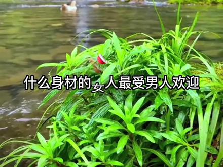 什么样的女人最有气质,身材苗条,面容干净,动作优美,有自己的风格,让男人看上去就觉得很舒服的女人…