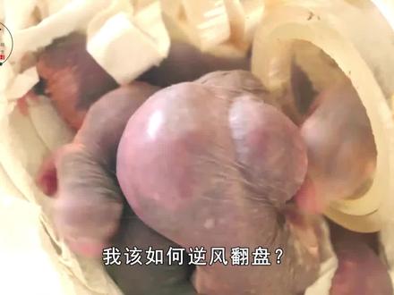 裸鼹鼠的自述:免疫癌症、长寿命硬是我骄傲的资本 #科普 #知识 #裸鼹鼠