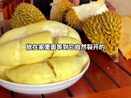 今天纠正一下,微微裂口的榴莲还是可以买的,但裂口很大的仍不建议买#泰国金枕榴莲