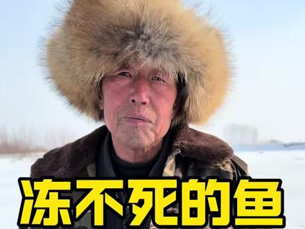 #猎人#跑山 #动物#鱼 老猎人讲述冻不死的鱼,有缓阳虫