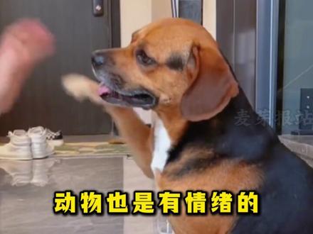 12月6日热点信息快报#热点 #离谱