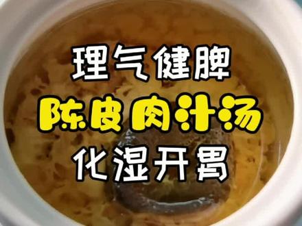 简单易做的陈皮肉汁汤,健脾开胃,值得收藏哦!#陈皮 #肉汁汤 #美食趣胃计划 #美食教程 #美食天天有想吃跟我走 @DOU+小助手 @企业号小助手 @抖音小助手