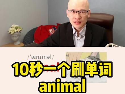 animal 动物;
#词根词缀记忆法 #零基础英语速成