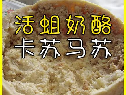 食品工厂第45期 | 用蛆来发酵的卡苏马苏奶酪!#纪录片 #涨知识 #科普一下 #活蛆奶酪 #制作过程 @DOU+小助手 @DOU+上热门