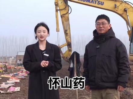 怀山药。温县铁棍山药,这才是我想拍的视频的样子,有什么不足的大家补充一下#青年创作者成长计划 #知识科普 #记录身边的老手艺 #我为家乡农产品代言