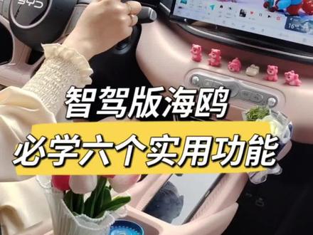 智驾版海鸥刚提车必须要学会的几个功能,特别是最后一个非常重要!#比亚迪 #比亚迪海鸥 #每天一个用车知识 #带你懂车