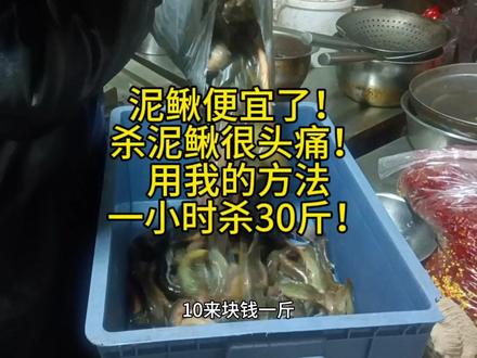 泥鳅便宜了!
杀泥鳅很头痛!
用我的方法
一小时杀30斤! #河鲜 #家常菜 #泥鳅