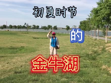 外地朋友来茌平,要首选这处免费景区- - - 金牛湖,让你不虚此行#身边的风景 #金牛湖风景区