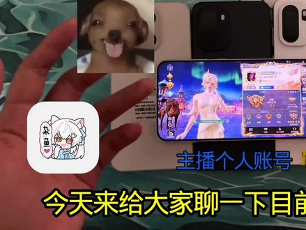 我的视频只是建议、玩什么最终还是归你们的决定#安叶 #拍机堂淘机#小烧鸡内核#root机