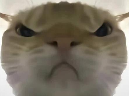 你们觉得张姐这个干员怎么样。#三角洲 #三角洲行动 #游戏 #云游堂