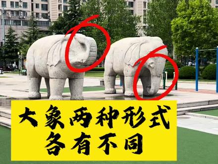 大象鼻子向上和鼻子向下各不同
