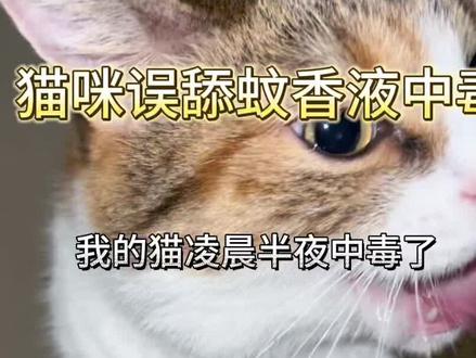 凌晨2点6岁老猫咪误舔蚊香液中毒,口吐白沫舌头发紫,立即在家展开了急救,还好症状比较轻,家里小动物夏天一定要注意所有的有毒物质啊#猫咪中毒 #蚊香液 #猫咪的迷惑行为