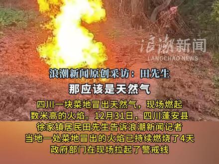 四川一菜地窜出数米高火焰 镇政府:地下天然气外泄