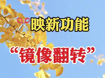 教你制作镜像翻转效果,非常好看#剪辑#剪辑教程 #手机剪辑 #视频制作教学 #干货分享