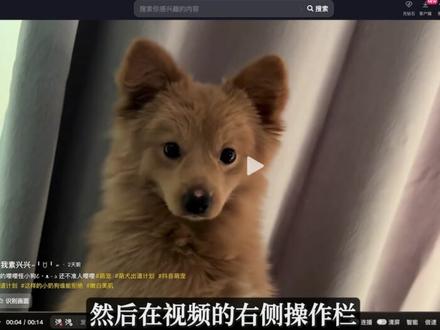 抖音也支持一键三连了? #哔哩哔哩 #bilibili #ntr #一键三连