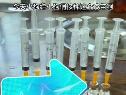 #健康 英特威二连四联#疫苗接种 #疫苗接种注意事项