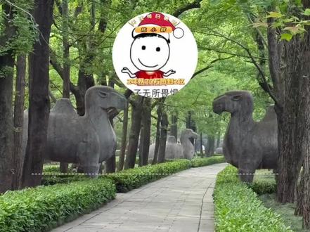 陈小群阐述个人炒股经历和看票方式#游资#股票